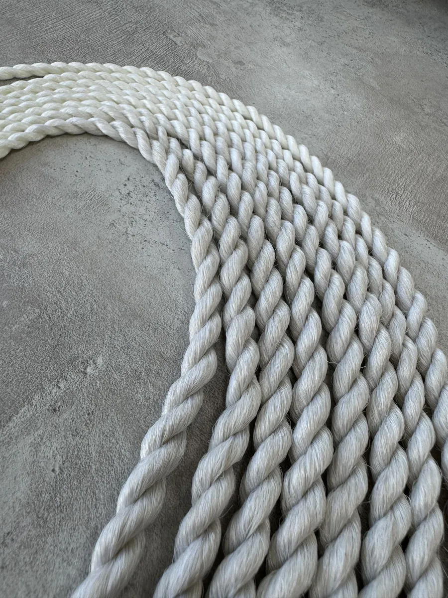 Афрорезинка Сенегальская